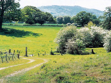 The Wrekin from Wellington